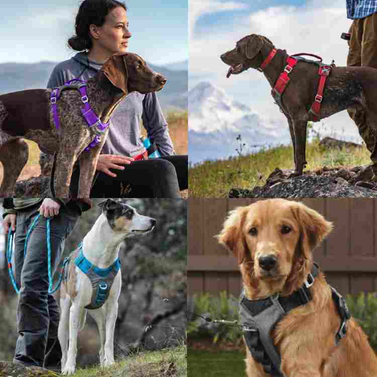 Reflective No Pull Dog Harness by Kurgo