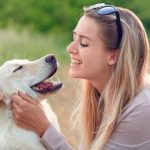 Low Fat Dog Food