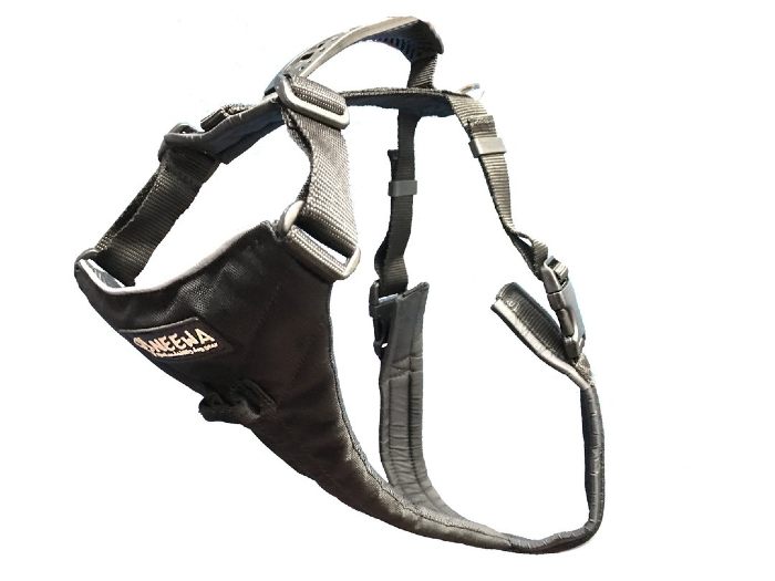 dog harness no pull
