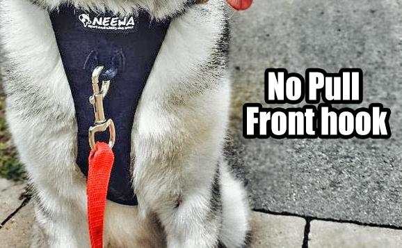 front clip dog harness