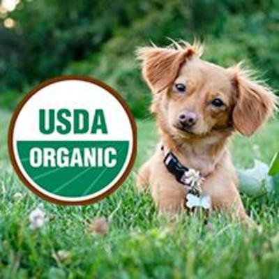 Organic Dog Food USDA