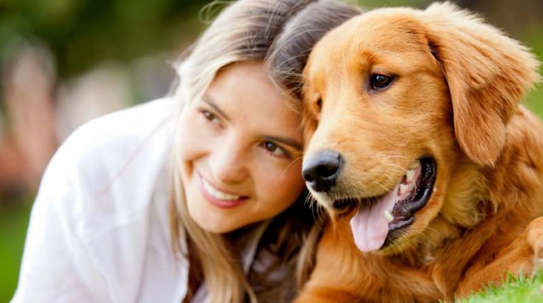 Read more about the article Organic Dog Food