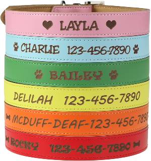 Engraved Personalized Leather Dog Collar