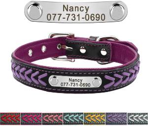 Personalized Nameplate Dog Collar