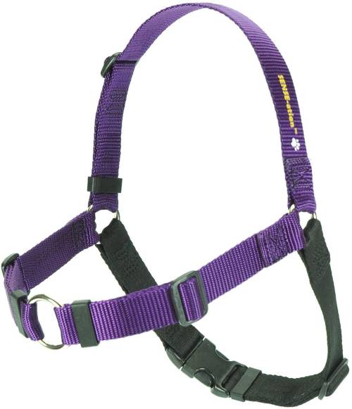 Sense ation No Pull Dog Harness