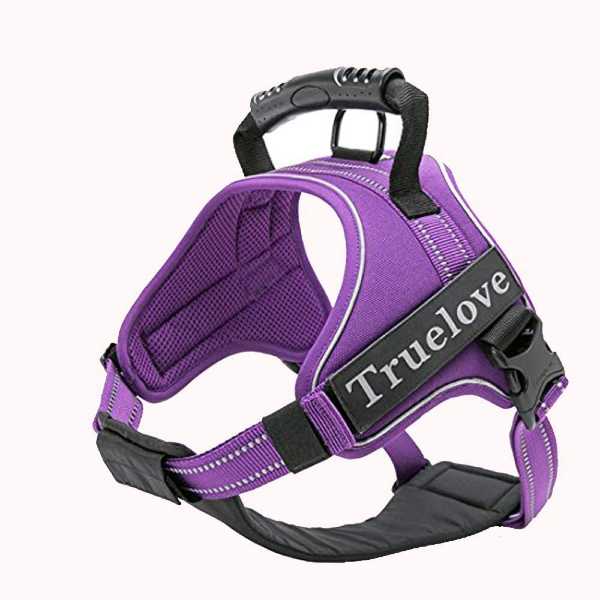 True Love Dog Harness
