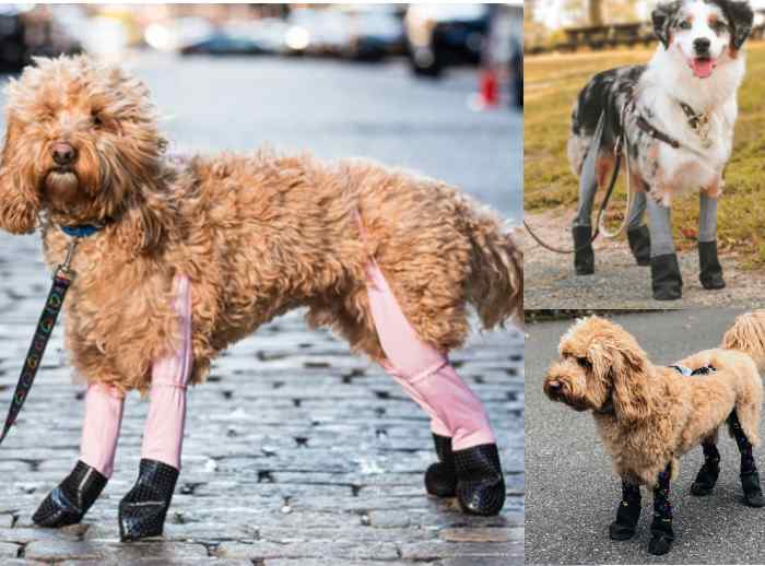 Walkee Paws Water Resistant Dog Legging Waterproof Rubber Boots