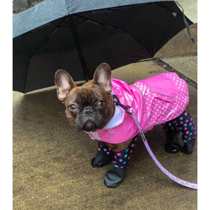 Water Resistant Waterproof Rubber Dog Boots