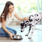 Wet Dog Food