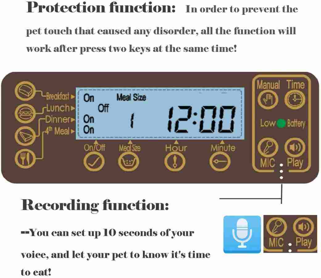 Best Automatic Dog Feeders with Timers Timed Dog Food Dispensers Reviews