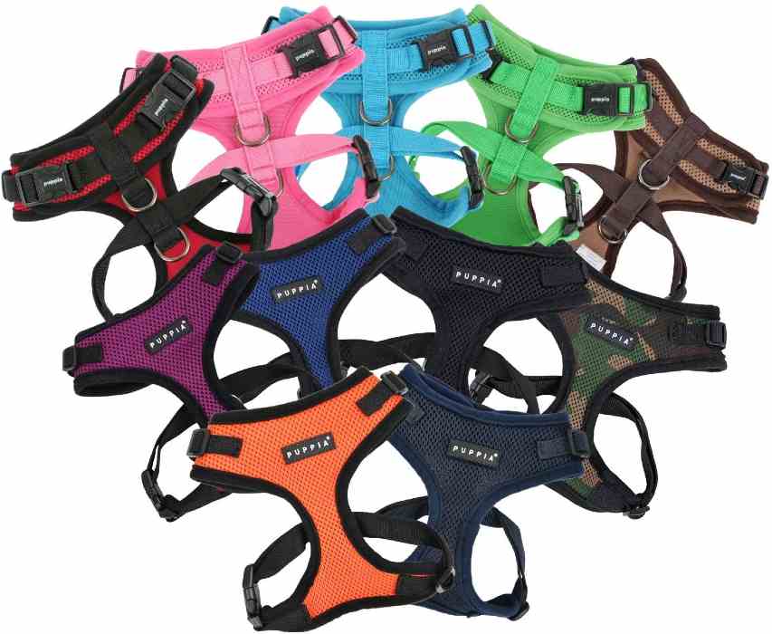 no choke dog harness