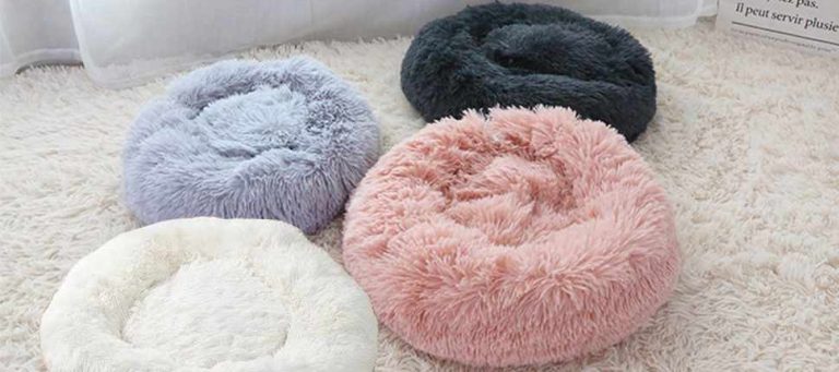 Read more about the article Calming Dog Beds