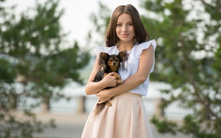 Read more about the article Dog Food For Small Dog