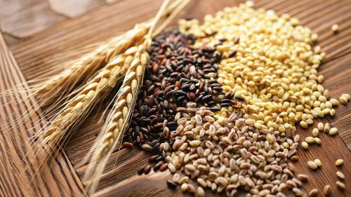 Dog food with grains