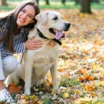 Freeze Dried Dog Food