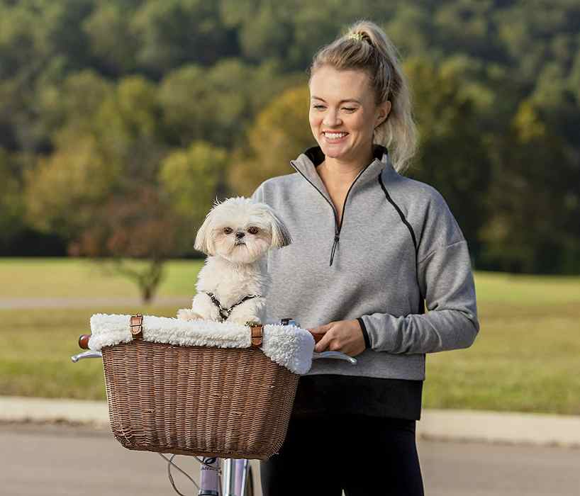 PetSafe Front Bike Basket for Dog