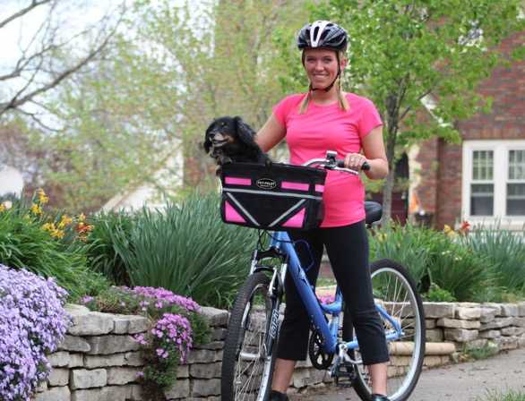Pet Pilot Dog bike carrier basket