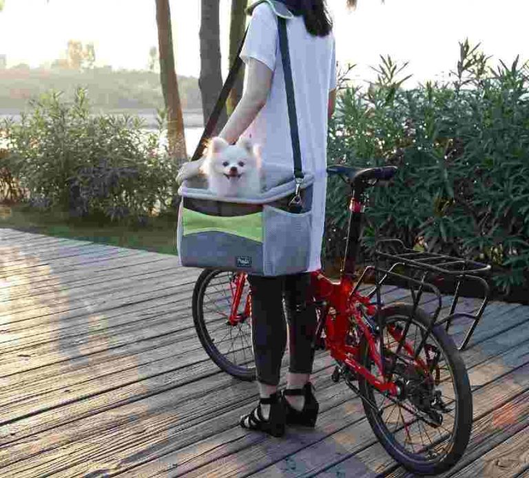 Petsfit Small Dog Carrier Bag