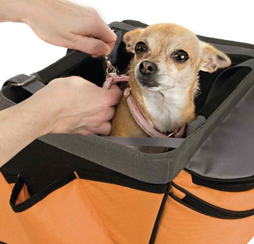 Snoozer front bike carrier for dog