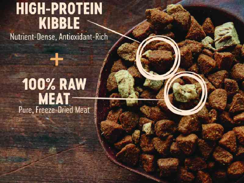 Wellness CORE RawRev Grain Free Puppy Food with Freeze Dried Turkey