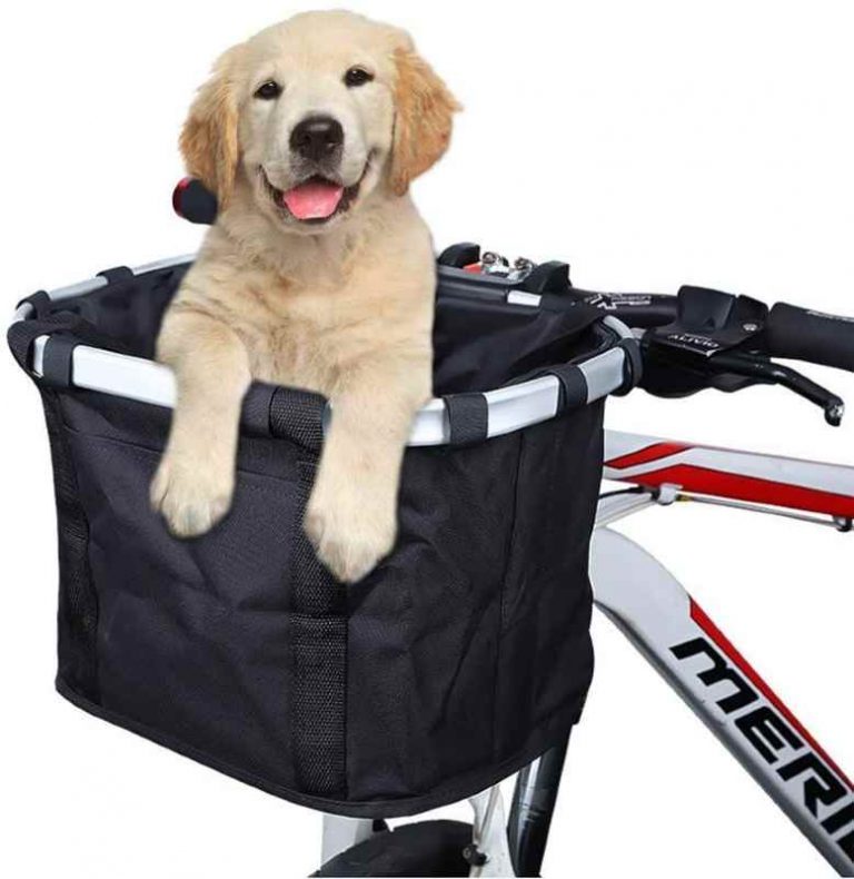 Front bike carrier for dog