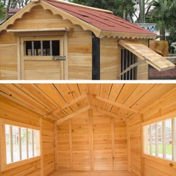Dog House