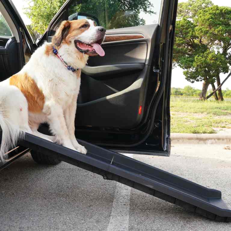Outdoor Dog Ramp for Car & SUV