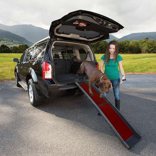 Kurgo Wander Dog Ramp