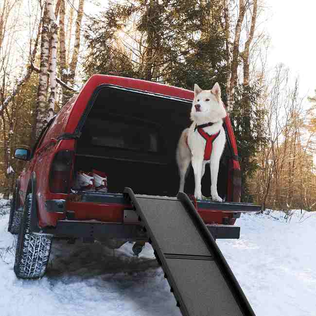 petmaker-portable-dog-ramp-for-car-truck