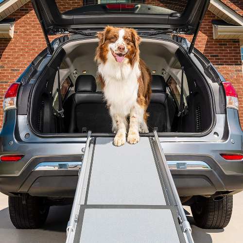 Petsafe dog ramp