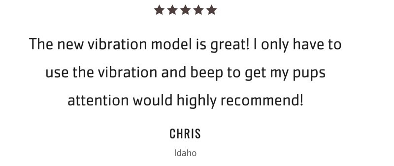 customer review on pet resolve dog shock collar