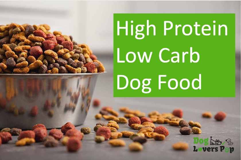High-protein low-carb dog food