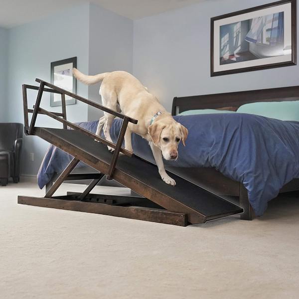 Read more about the article Dog Ramp for Bed