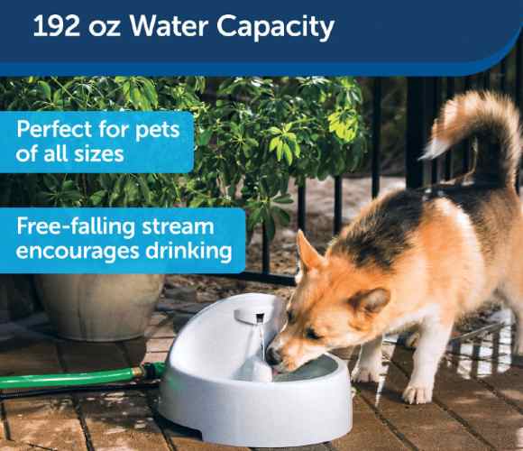 Drinkwell Everflow Indoor and Outdoor Plastic Dog Water Fountain