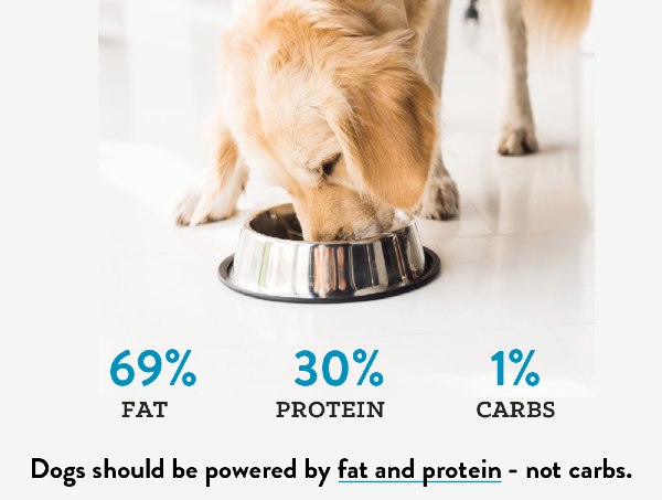 Low Carb Dog Food