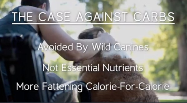 Low carb dog food