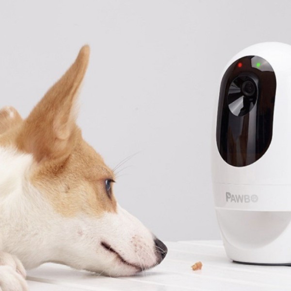 Pawbo Dog Camera Treat Dispenser