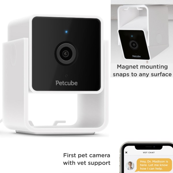 Petcube Cam HD Dog Monitor Camera With Vet Chat