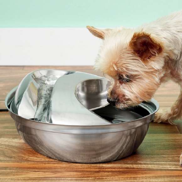 Pioneer Pet Stainless Steel Dog Water Fountain