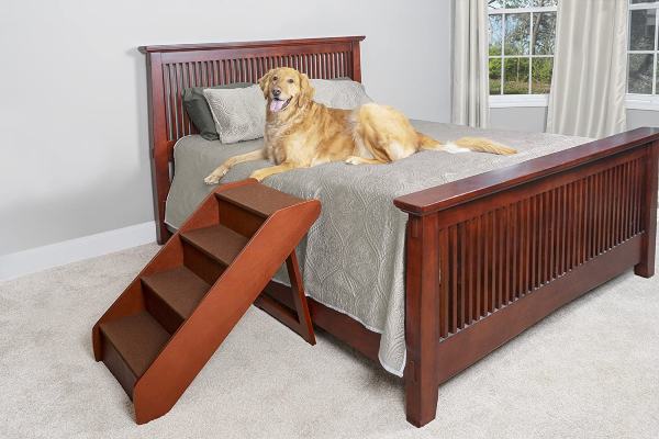 Read more about the article Dog Stairs