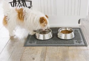 dog bowl mat image