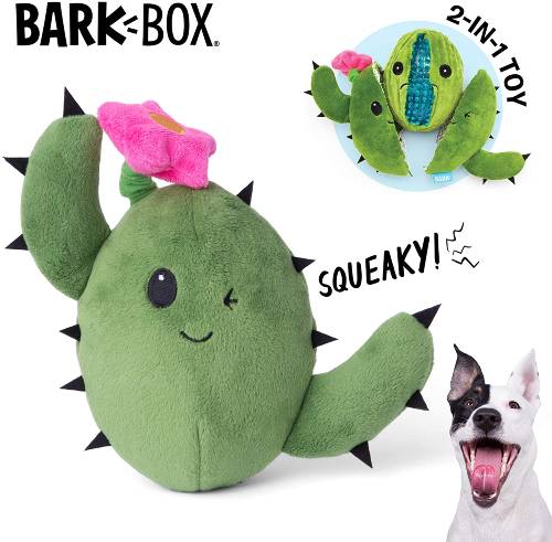 Barkbox Plush Dog Toy