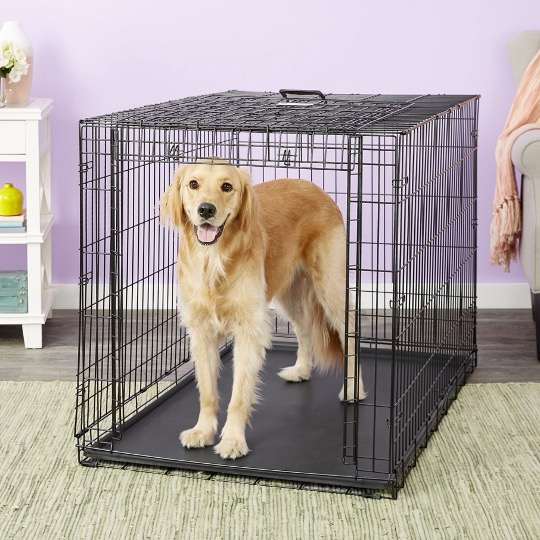 48 inch extra-large XL folding dog crate