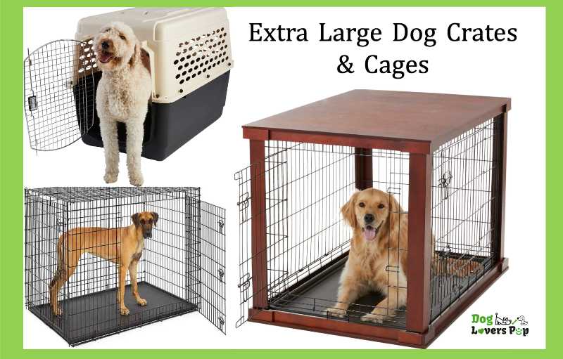 Extra Large XXL Dog Crates For Big Dogs