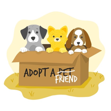 pet adoption