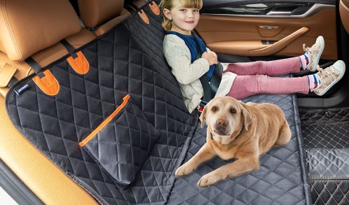 Read more about the article Dog Car Seat Covers