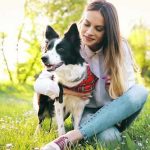 Dog Food for Dry Itchy Skin