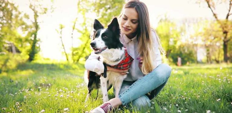 Read more about the article Dog Food for Dry Itchy Skin