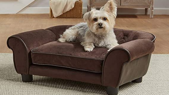 Read more about the article Dog Couch and Sofa