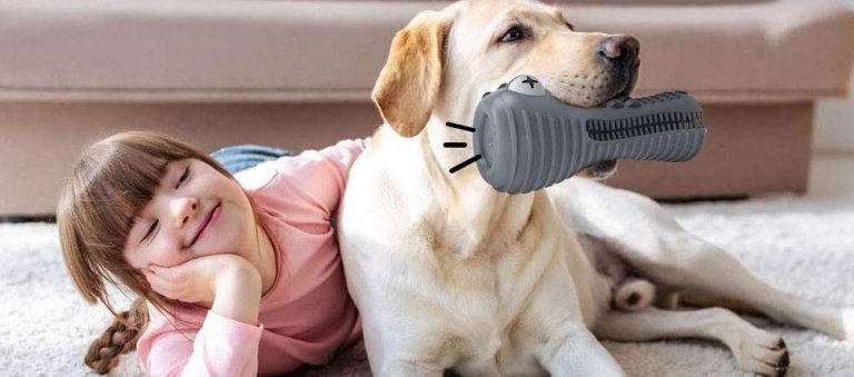 Read more about the article Dog Toothbrush Toys